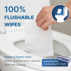 Etiqueta privada 80pcs papel higiénico húmedo freusable Toallitas húmedas sanitarias personales para la limpieza del hogar